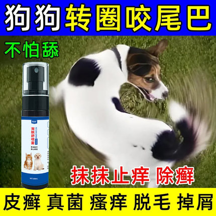 狗狗转圈咬尾巴抑菌喷剂尾巴根部真菌感染流血脓皮红疙瘩螨虫