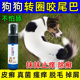 狗狗转圈咬尾巴抑菌喷剂尾巴根部真菌感染流血脓皮红疙瘩螨虫
