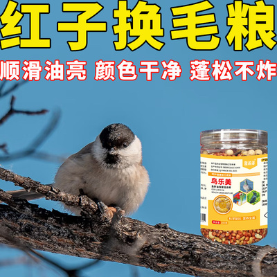 红子换毛期】专用鸟粮食饲料丰毛亮羽防掉毛炸毛柔顺蓬松提性促鸣