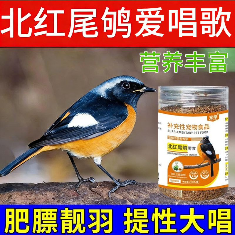 北红尾鸲促唱歌鸣叫开口鸟粮饲料专用丰羽靓羽状态好石燕营养鸟食