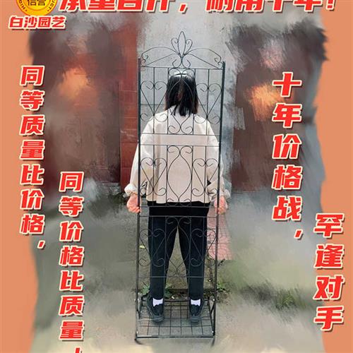 带底座阳台落地欧式屏风架室内庭院铁线莲花幕爬藤架园艺花架包邮