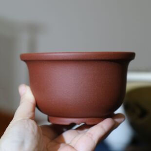 精品紫砂花盆矮金钟圆口盆桌面盆栽手工盆小盆小碗盆微型盆盆景盆