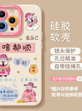 适用苹果iPhone16磨砂15硅胶14财神13卡通12mini顺风11promax手机壳XRXS啥都顺8镜头保护76splus防摔SE保护套