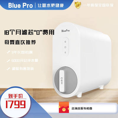 博乐宝(BluePro)净水器家用直饮600G净水机反渗透厨房自来水过滤