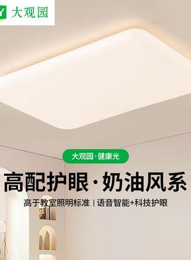客厅吸顶灯奶油风新款护眼北欧极简大气大厅温馨主卧室房间灯293L