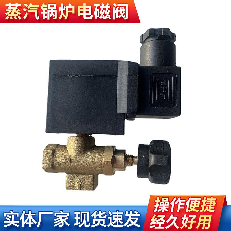 原厂原装220V/50HZ电加热蒸汽锅炉熨斗配件 锅炉专用电磁阀