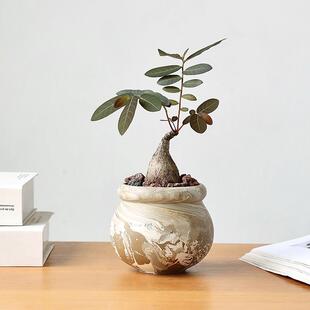 创意圆球可爱小花盆陶瓷陶盆粗陶迷你球兰绿植盆栽无釉透气圆形