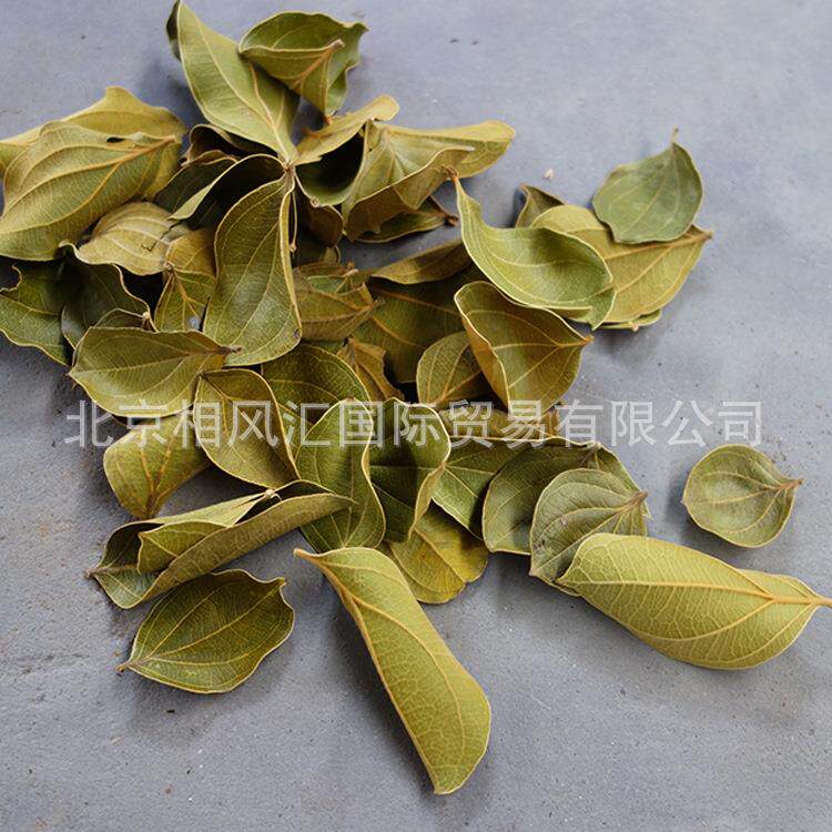 【藜麦叶】进口干花干树叶干枝干果花材配材装饰摆设拍照花束
