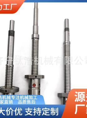 定制西安普利森小丝杠CQW61100-05018ZD厂家价格