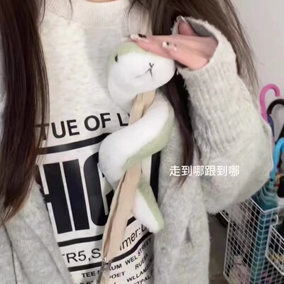 软萌小青蛇毛绒公仔 网红同款可弯折小蛇玩偶 2026 蛇年吉祥物 治