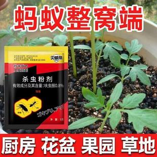 蚂蚁药强效全窝端家用厨房室内野外菜地灭蚁清一窝端灭蚁药D2