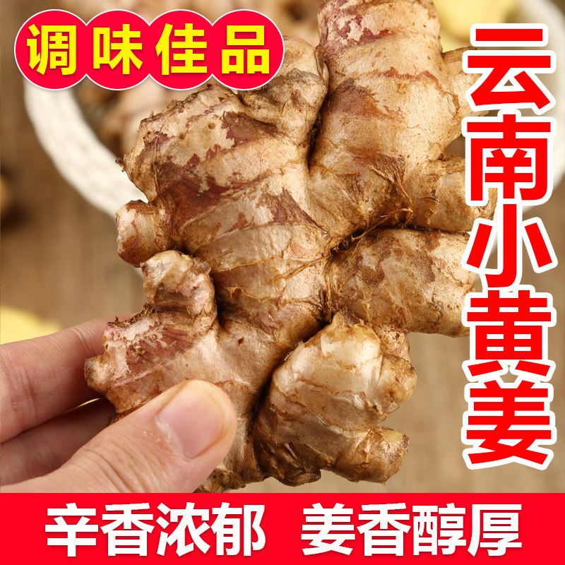 2024正宗云南小黄姜新鲜生姜现挖高山沙姜老嫩姜土姜蔬菜包邮