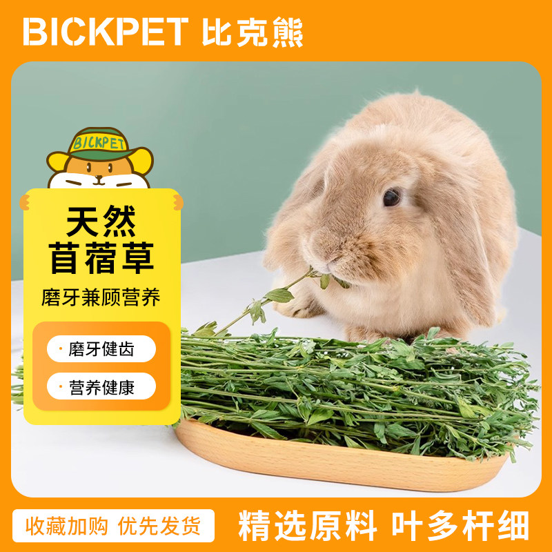 苜蓿草兔子磨牙饲料干草牧草紫花苜蓿兔粮幼兔成兔龙猫荷兰猪1kg属于什么档次？