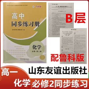 2025秋B层配鲁科版高中同步练习册化学必修第二册山东友谊出版社高一化学必修2同步练习册配鲁科版B层级