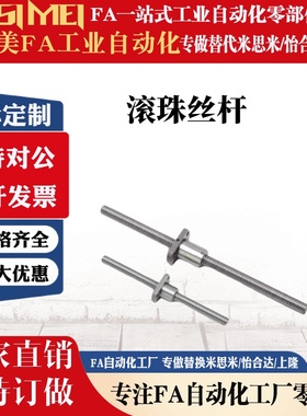 滚珠丝杠BSBR/BSBRK1505 1510 2005 2010 2505 2510 替代米思米