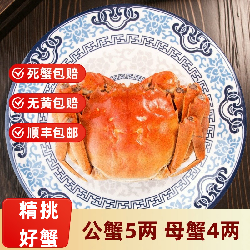 大闸蟹公蟹半斤母蟹4两10只装
