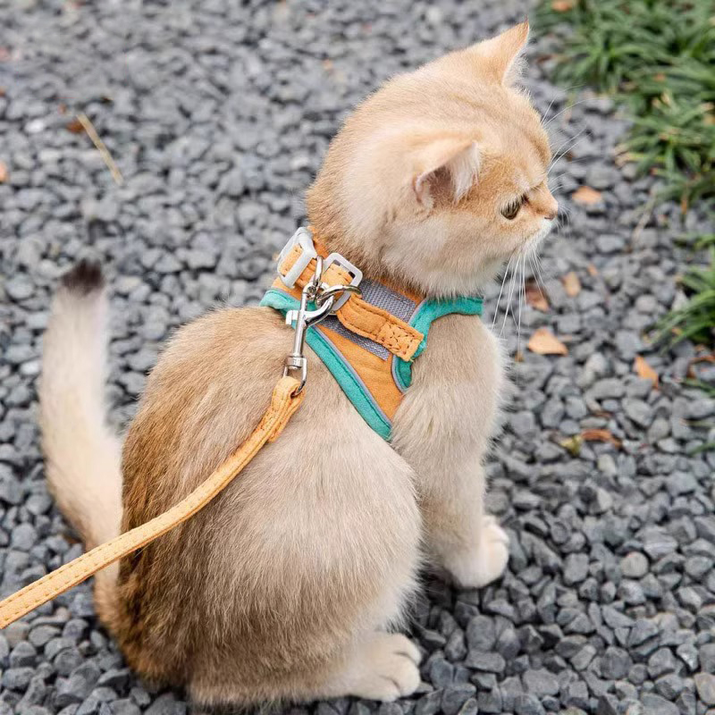 猫咪牵引绳背心式防挣脱遛狗绳外出神器布偶猫链子蓝猫奥蕾优选