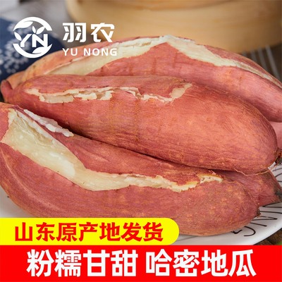 农家自种地瓜山东白心