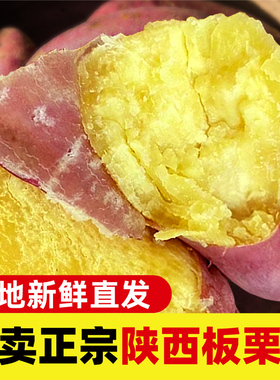 陕西临潼正宗板栗薯新鲜小香薯蜜薯桥头地瓜农家自种沙地板栗薯5