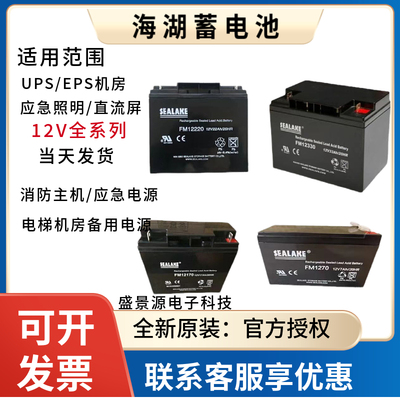 SEALAKE海湖蓄电池FM12220