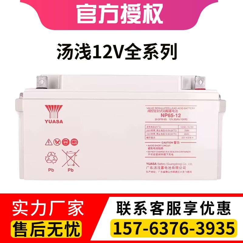 蓄电池NP100-12 12V100AH12V65AH12V120AH38AH24AH155AH200AH