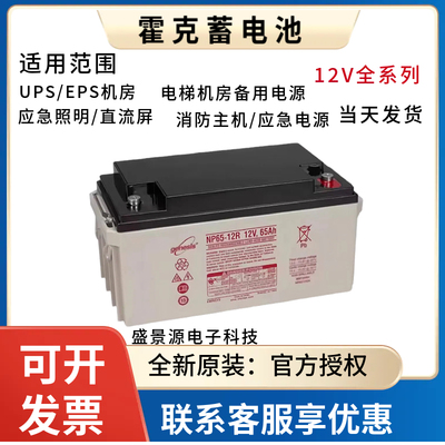genesie霍克蓄电池NP12V33A24A100A65A40A38A200AH150A120A20A18A