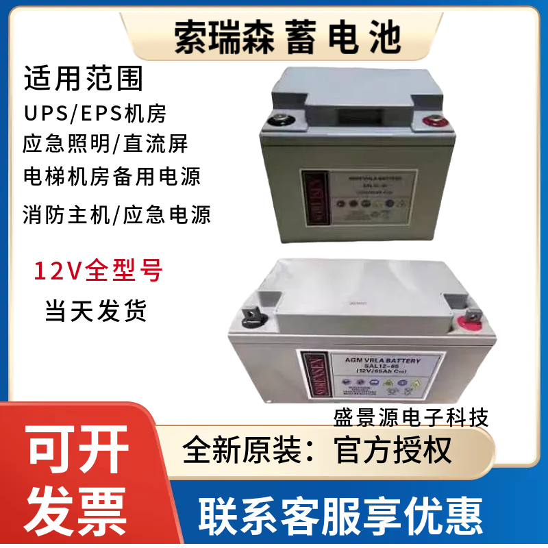 SORENSEY索瑞森蓄电池SAL12V100AH铅酸免维护24A38A65A机房直流屏