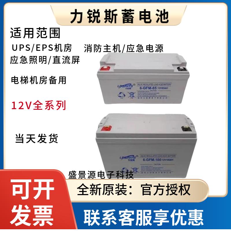 UPS蓄电池力锐斯蓄电池图片