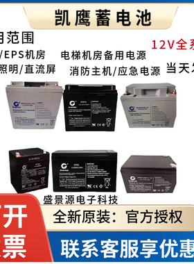 凯鹰蓄电池6FM24 KS24-12V12Ah12V38AH12v65Ah100AHUPS主机电源