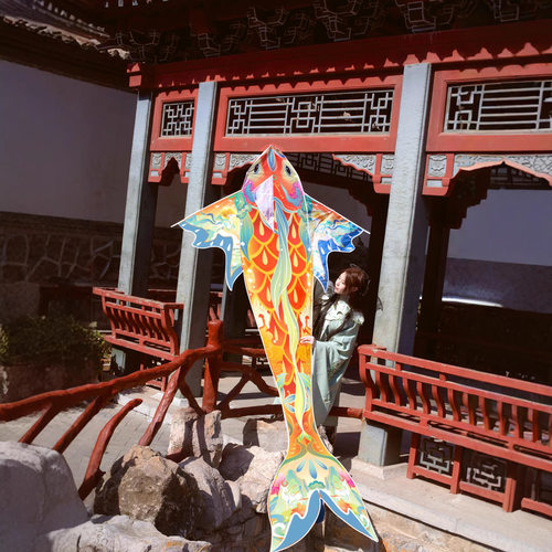 潍坊高颜值锦鲤风筝大人专用巨型特大号高档儿童微风易飞2026新款