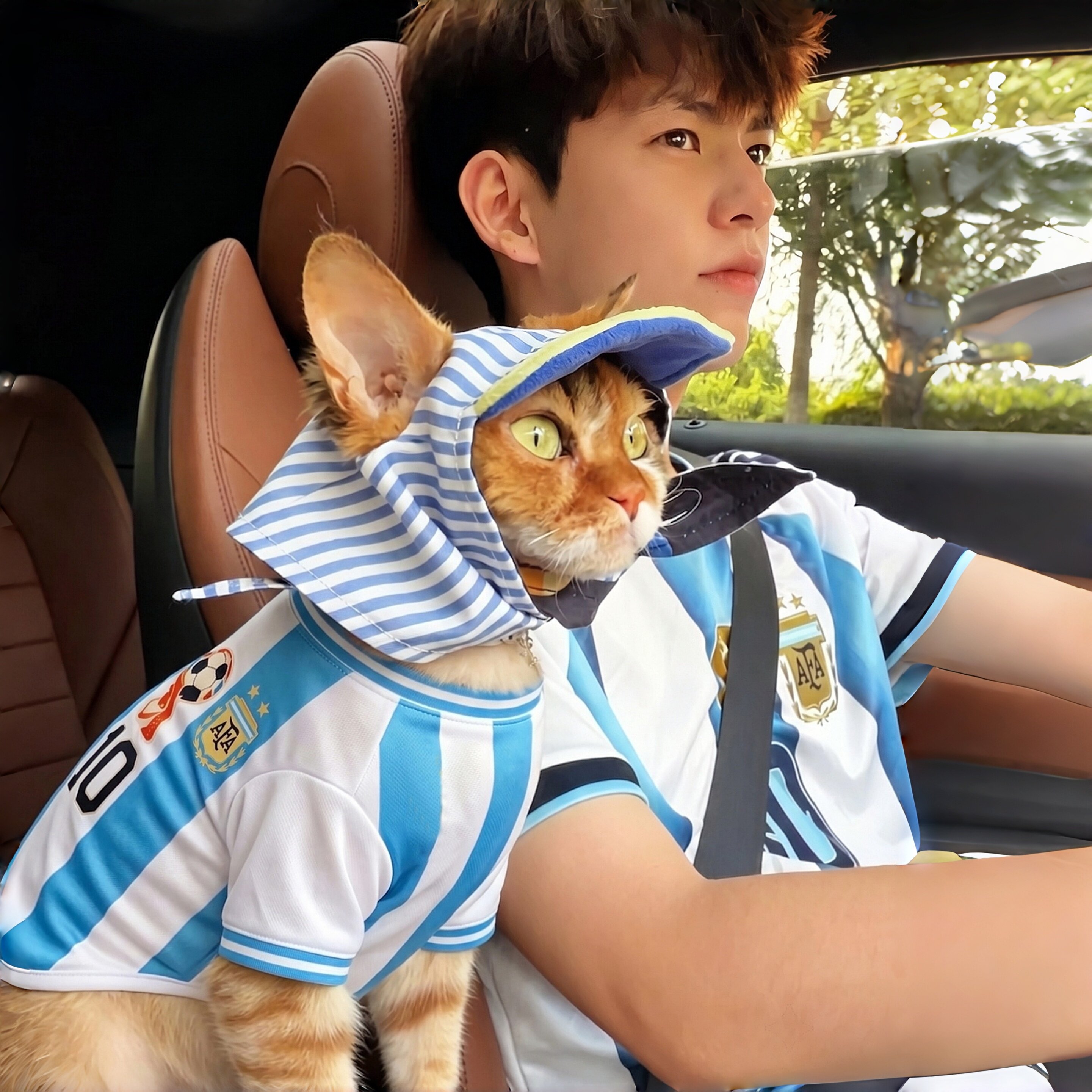 猫咪衣服宠物球衣2026世界杯夏天主题狗狗足球衣服宠物背心凉凉衣