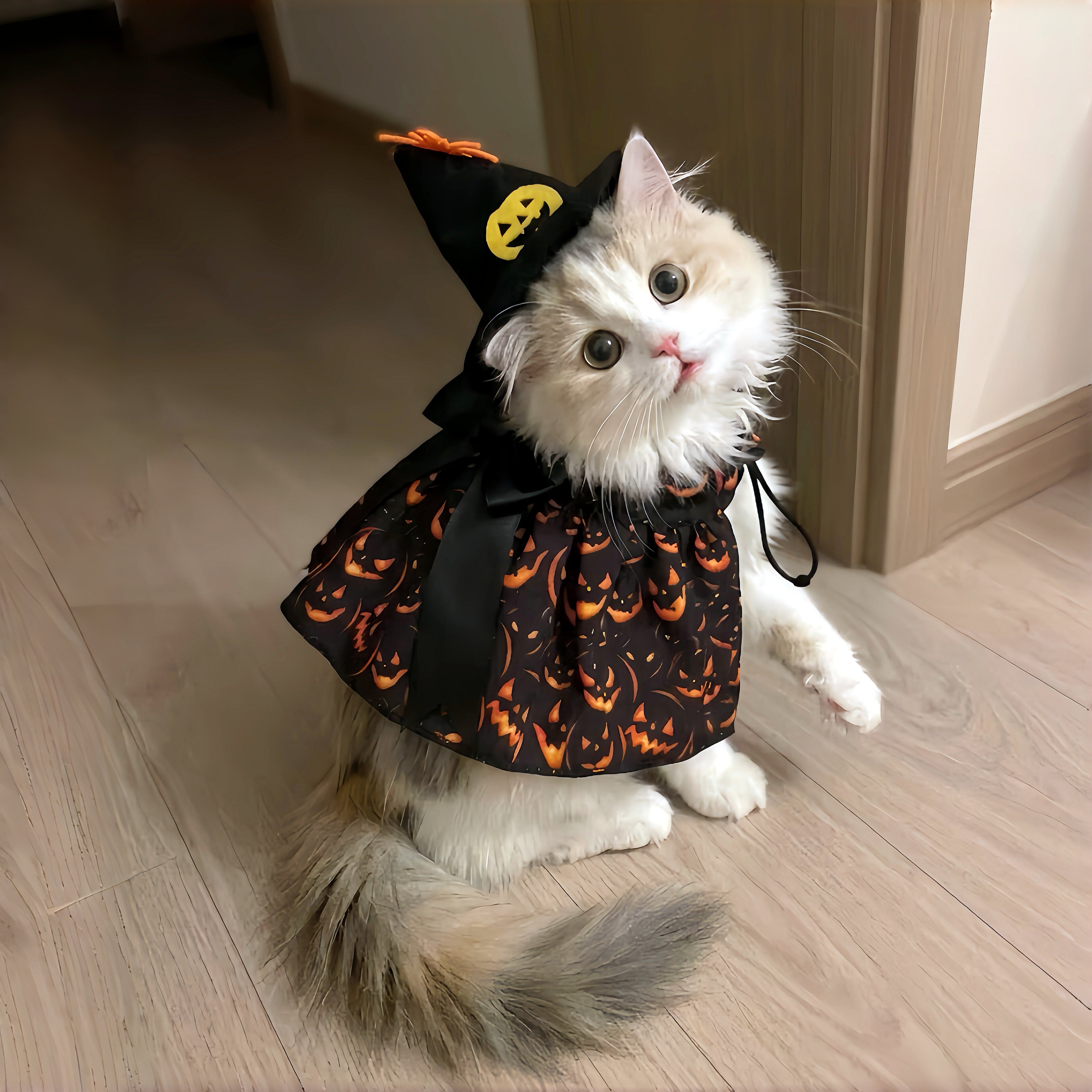 万圣节猫咪服装宠物斗篷魔法帽节日cos装扮头饰户外搞怪拍照道具