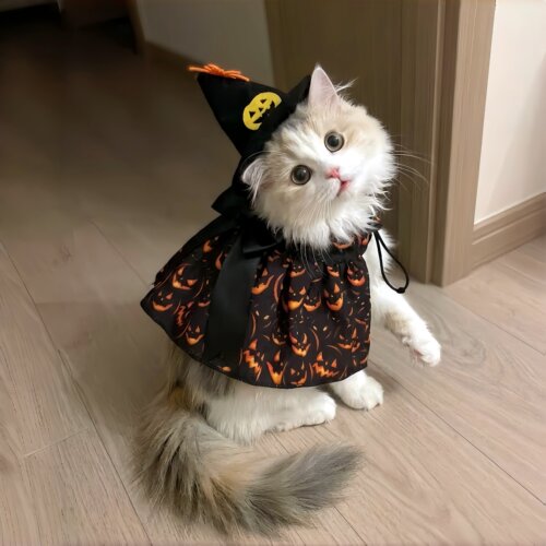 万圣节猫咪服装宠物斗篷魔法帽节日cos装扮头饰户外搞怪拍照道具