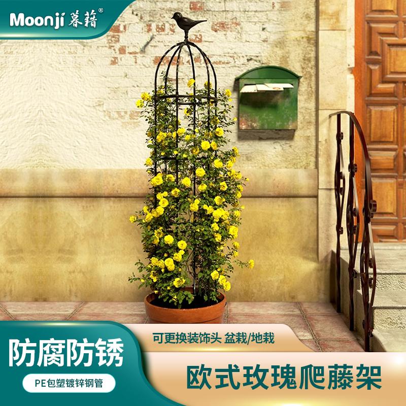 玫瑰花架月季植物爬藤架攀爬杆