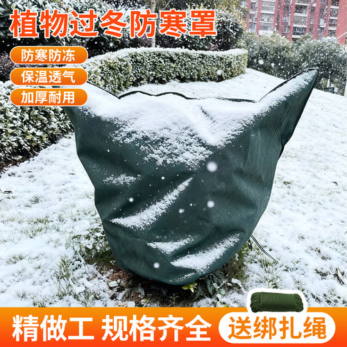 植物防寒罩果树防冻保暖保温树罩