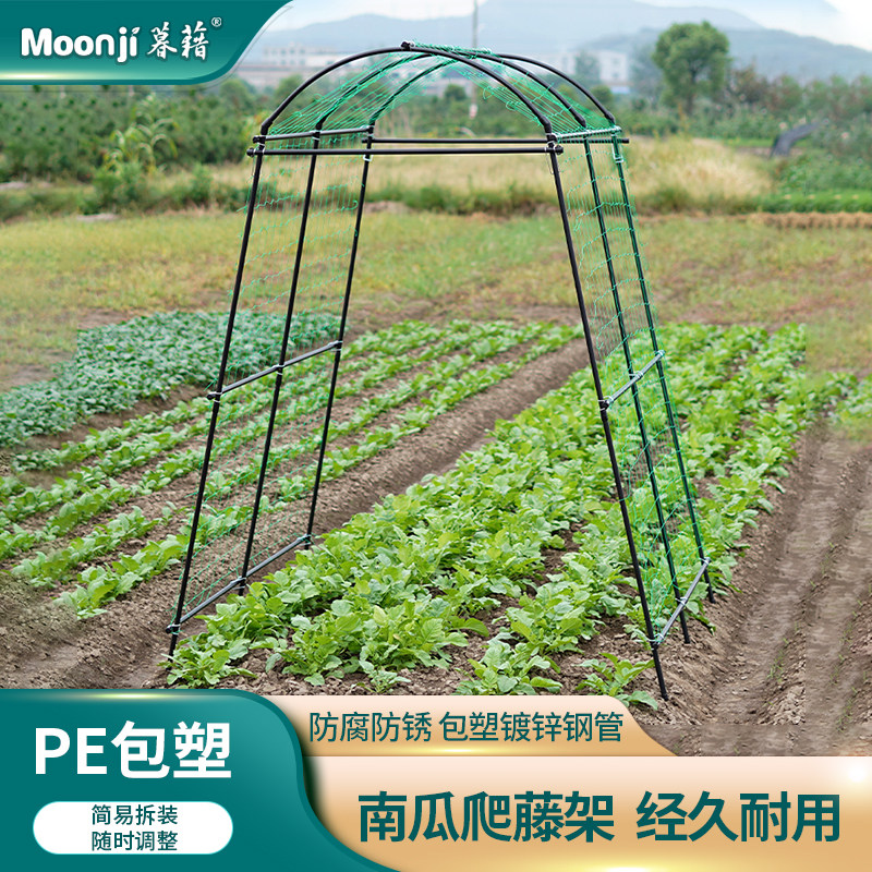 南瓜架子庭院葡萄丝瓜蔬菜爬藤支架葫芦园艺爬藤架室外植物支撑杆,鲜花速递/花卉仿真/绿植园艺,花架,淘宝优惠券,粉丝福利购,淘宝优惠卷