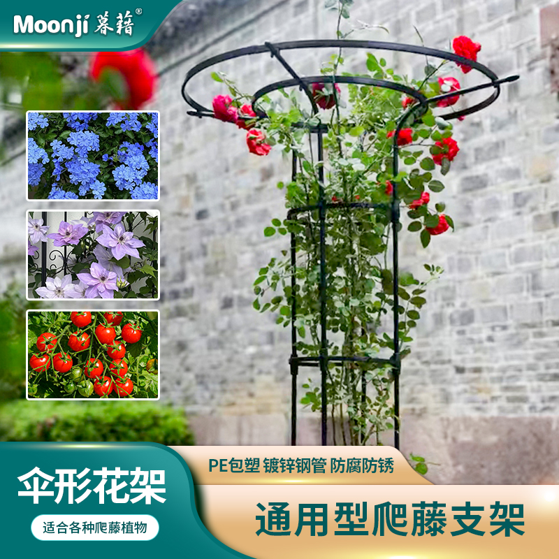 玫瑰月季植物爬藤架户外支撑架