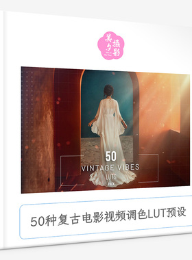 50种复古电影视频调色LUT预设 50 Vintage Vibes LUTs Pack