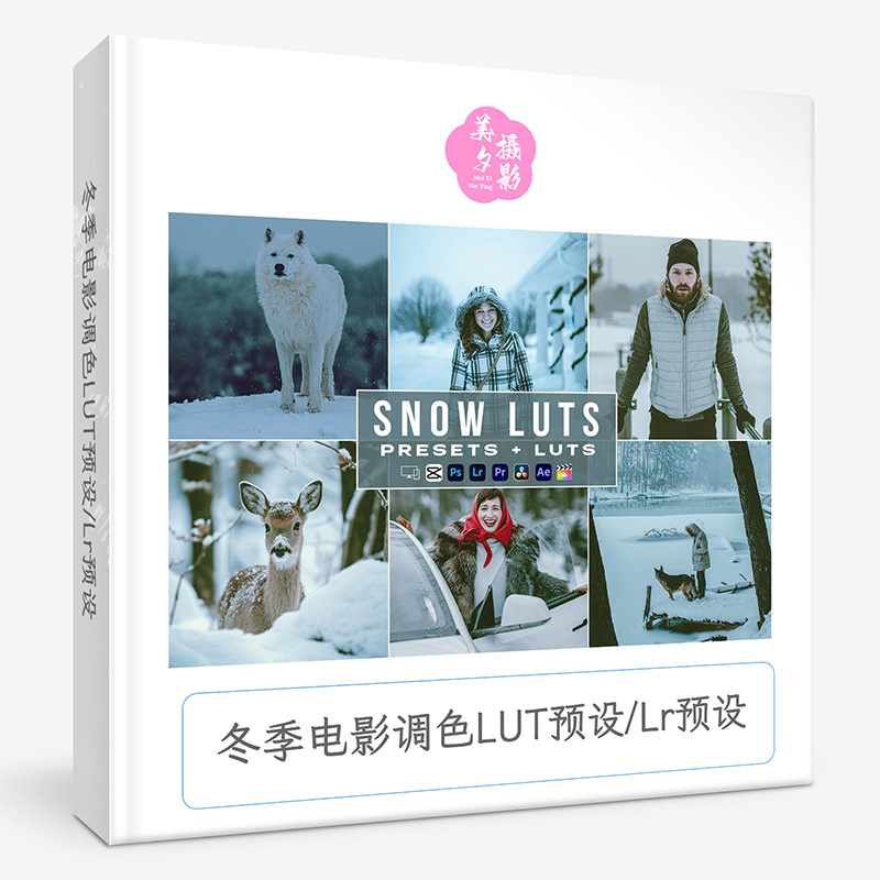 冬季电影调色LUT预设Lr预设 Snow - Winter Presets And luts