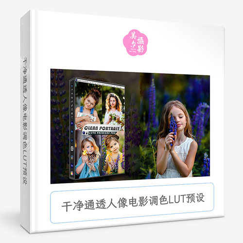 干净通透人像电影调色LUT预设 Clean Portrait Presets And luts