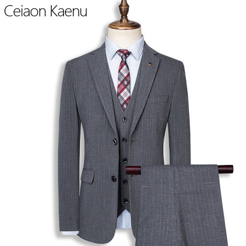 Ceiaon Kaenu条纹男士西装套装新款商务婚礼西服正装新郎结婚修身