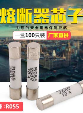 管保险丝R055 陶瓷保险管RO55 保险丝10a 5X25熔芯 R054 R057R058