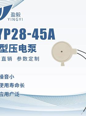 微型压电泵YYP28-45A穿戴式X压计迷你小型半导体低噪充气泵