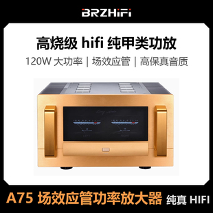 发烧级hifi纯甲类功放机大功率120W场效应管高保真音质纯后级 A75