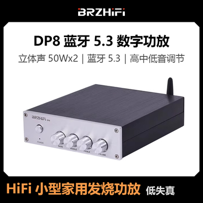 BRZHIFI DP8蓝牙5.3数字功放一体机HiFi小型家用发烧级 内置电源