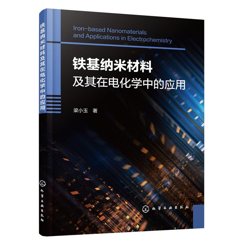 【文】铁基纳米材料及其在电化学中的应用 9787122432773化学工业出版社4