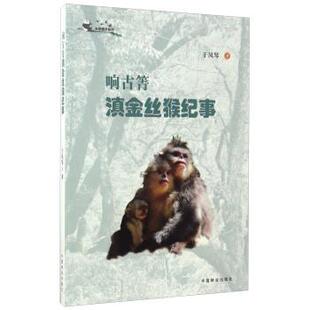 文 中国林业出版 天地精灵系列：响古箐滇金丝猴纪事 9787503889066 社 2019年