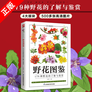 常见花卉园林植物识别图鉴园林花草树木植物野花野外识别鉴赏速查手册百科全书花卉养殖科普书籍 野花图鉴全新升级版 书
