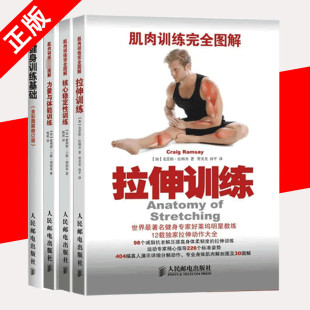 拉伸训练完全图解健身训练基础核心稳定性训练力量与体能训练运动损伤书功能性训练无器械健身书籍 全4册 健身实战教练书 书