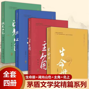 茅盾文学奖作者自选精篇套装 主角 徐则臣陈彦李佩甫周大新著 书 现当代文学小说书籍 北上 全4册 湖光山色 生命册